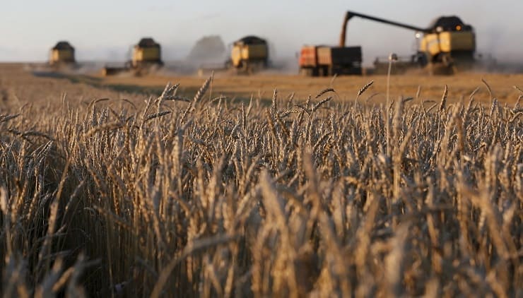 В Ульяновске убрали более 90% зерна
