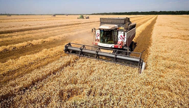 США не могут конкурировать с российской пшеницей