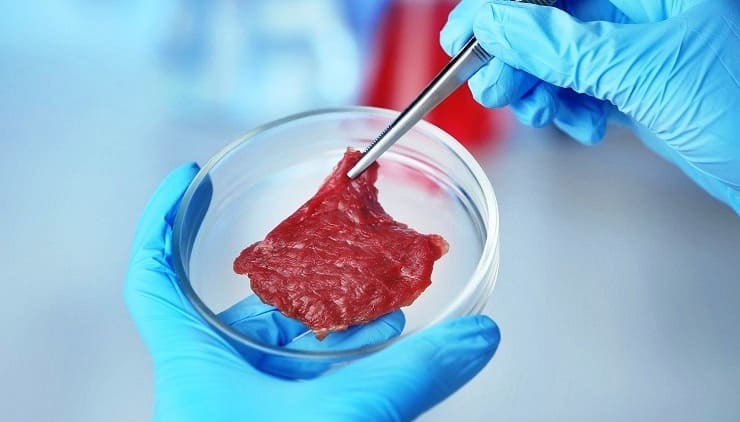 Скоро на прилавках США появится искусственное мясо